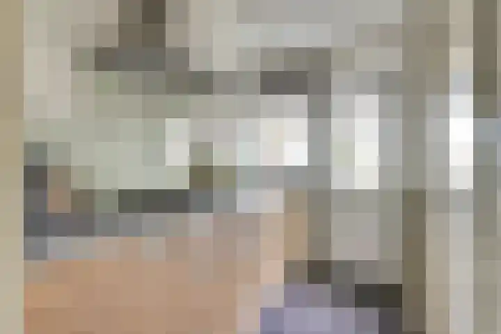 Terborchlaan 127 Alkmaar thumbnail 12