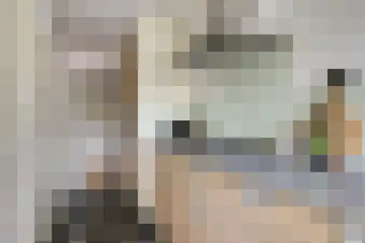 Terborchlaan 127 Alkmaar thumbnail 13