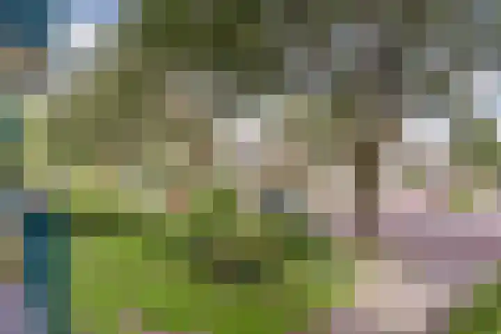 Terborchlaan 127 Alkmaar thumbnail 15