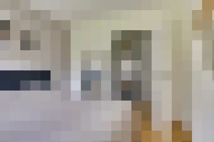Terborchlaan 127 Alkmaar thumbnail 19