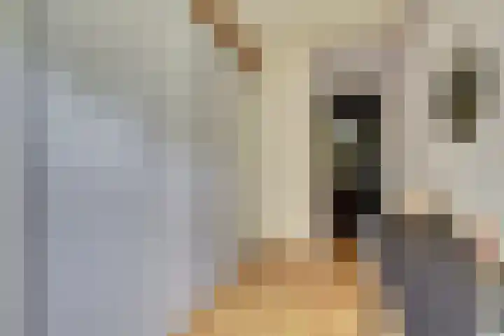 Terborchlaan 127 Alkmaar thumbnail 22