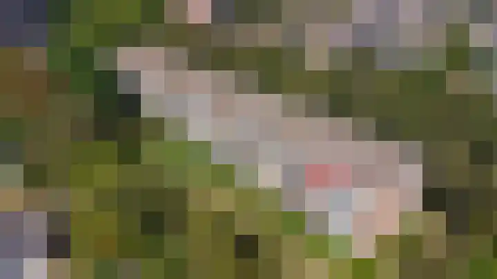 Terborchlaan 127 Alkmaar thumbnail 28