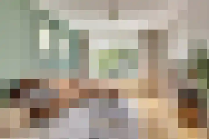 Terborchlaan 127 Alkmaar thumbnail 4