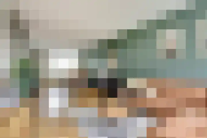 Terborchlaan 127 Alkmaar thumbnail 5