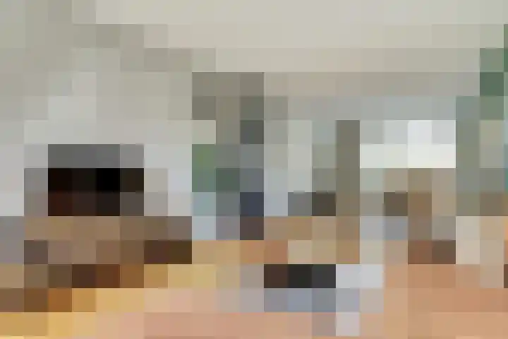 Terborchlaan 127 Alkmaar thumbnail 6