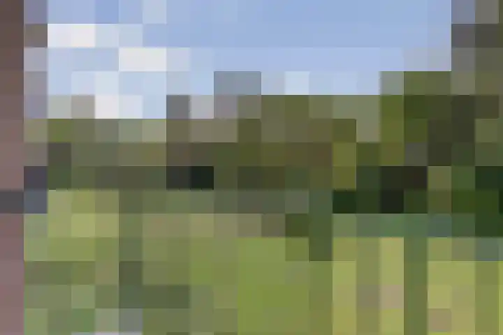 Terborchlaan 127 Alkmaar thumbnail 9