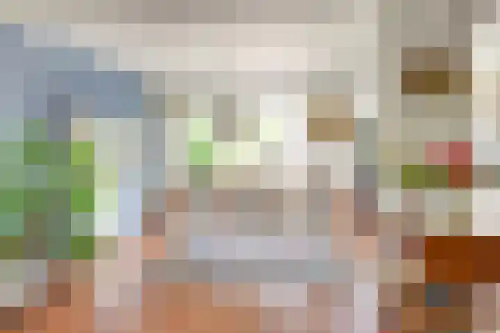 Terborchlaan 24 Alkmaar thumbnail 13