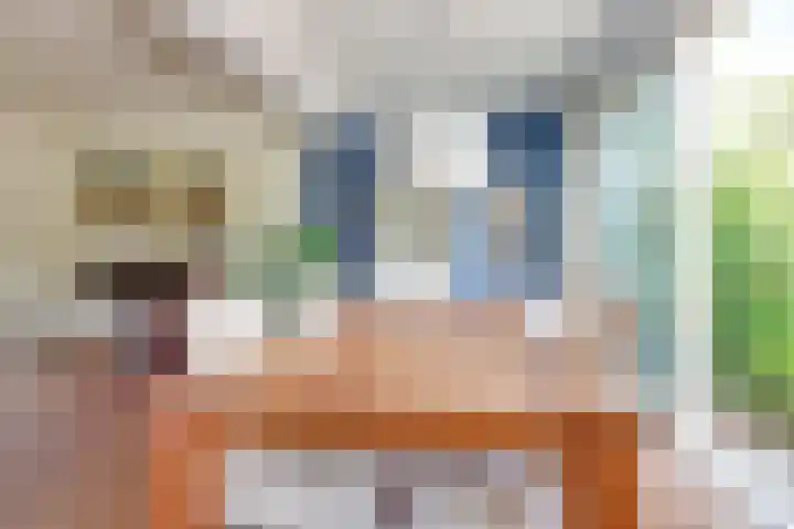 Terborchlaan 24 Alkmaar thumbnail 14