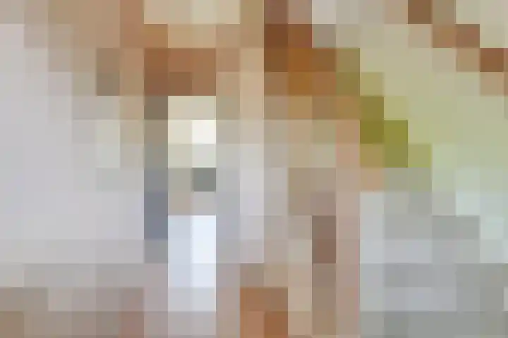 Terborchlaan 24 Alkmaar thumbnail 18