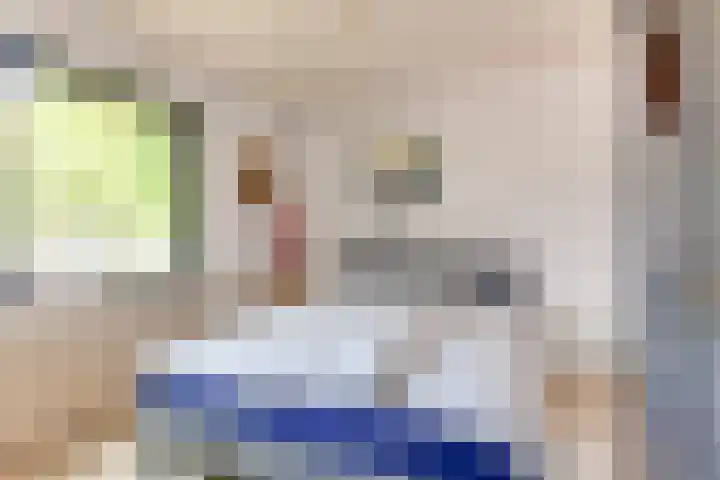 Terborchlaan 24 Alkmaar thumbnail 19