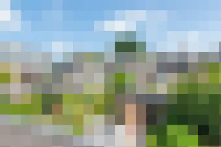 Terborchlaan 24 Alkmaar thumbnail 34