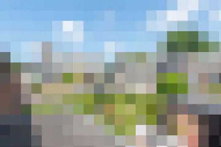 Terborchlaan 24 Alkmaar thumbnail 35