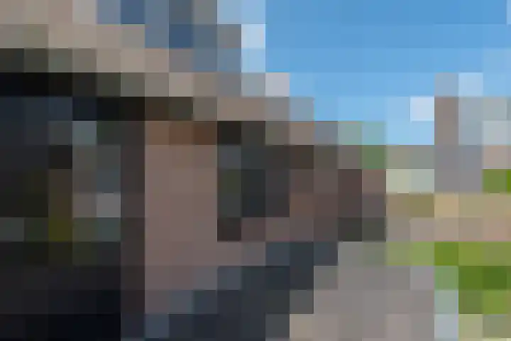Terborchlaan 24 Alkmaar thumbnail 38