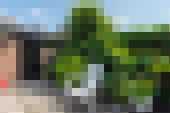 Terborchlaan 24 Alkmaar thumbnail 41