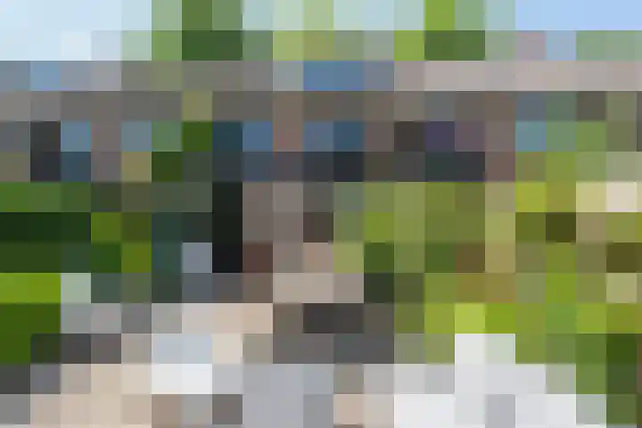 Terborchlaan 24 Alkmaar thumbnail 44
