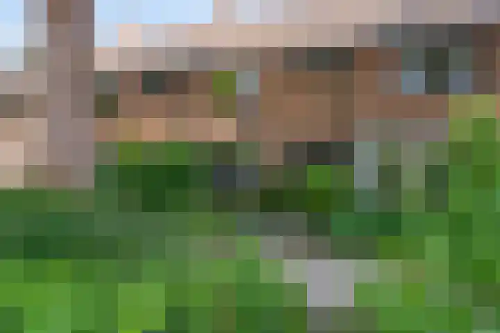 Terborchlaan 24 Alkmaar thumbnail 46
