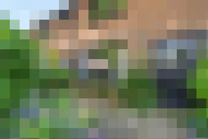 Terborchlaan 24 Alkmaar thumbnail 47