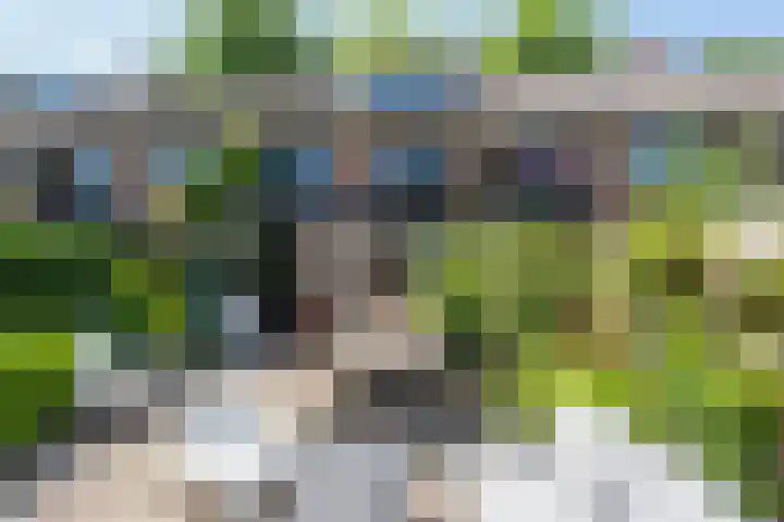Terborchlaan 24 Alkmaar thumbnail 5