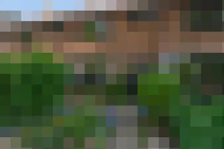 Terborchlaan 24 Alkmaar thumbnail 6