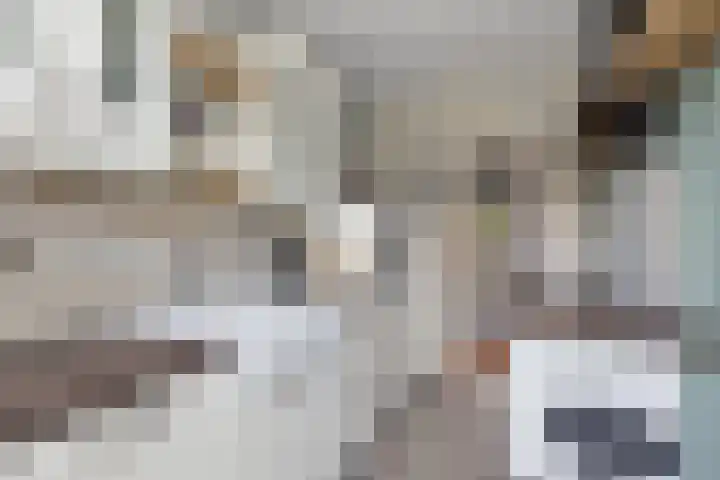 Terborchlaan 73 Alkmaar thumbnail 11