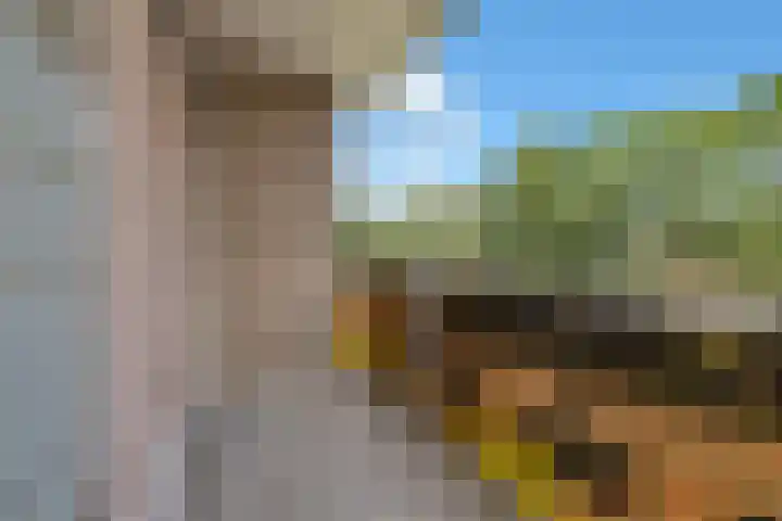 Terborchlaan 73 Alkmaar thumbnail 14