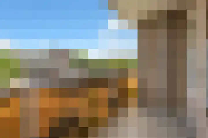 Terborchlaan 73 Alkmaar thumbnail 15