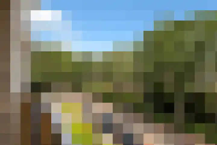 Terborchlaan 73 Alkmaar thumbnail 16