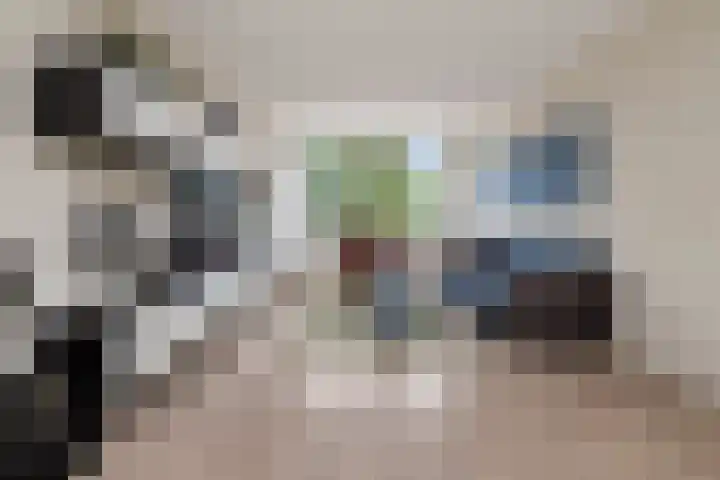 Terborchlaan 73 Alkmaar thumbnail 18