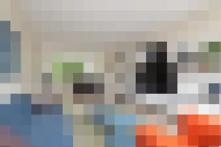 Terborchlaan 73 Alkmaar thumbnail 21