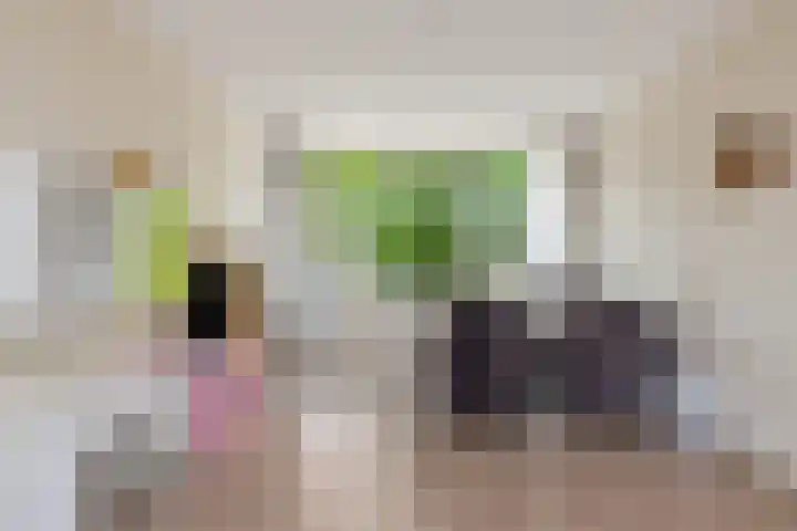 Terborchlaan 73 Alkmaar thumbnail 22