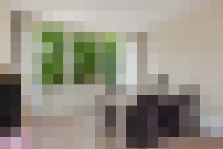Terborchlaan 73 Alkmaar thumbnail 23
