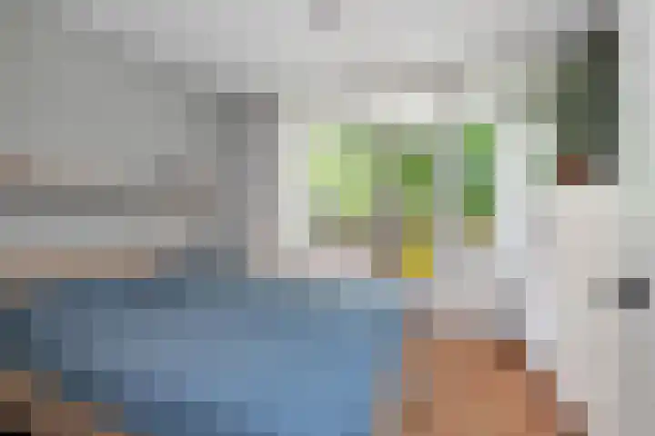 Terborchlaan 73 Alkmaar thumbnail 26