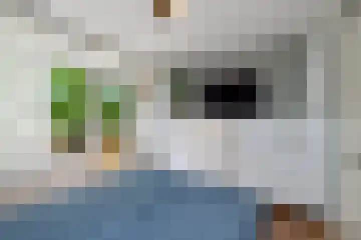 Terborchlaan 73 Alkmaar thumbnail 27
