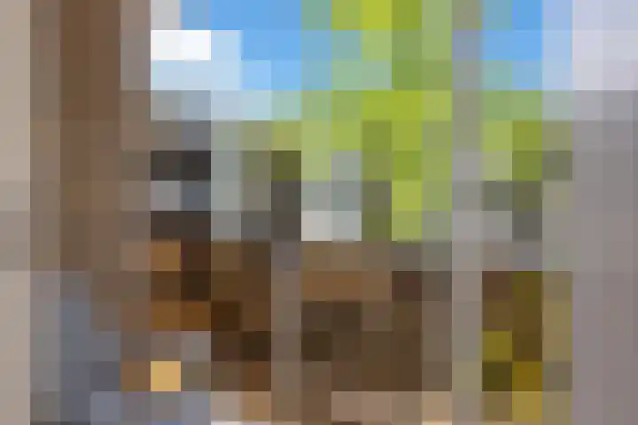 Terborchlaan 73 Alkmaar thumbnail 29