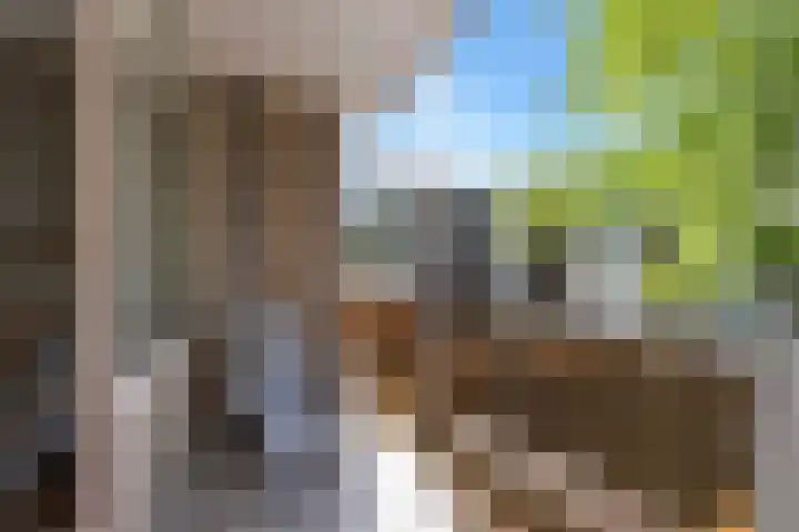 Terborchlaan 73 Alkmaar thumbnail 30