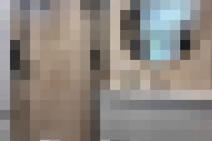 Terborchlaan 73 Alkmaar thumbnail 36