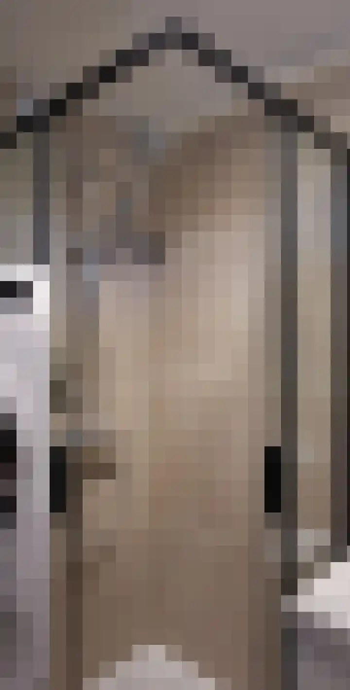 Terborchlaan 73 Alkmaar thumbnail 37