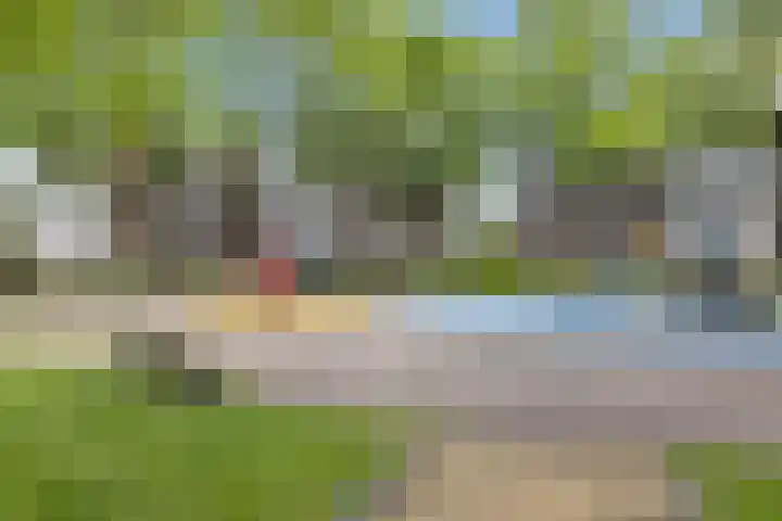 Terborchlaan 73 Alkmaar thumbnail 38