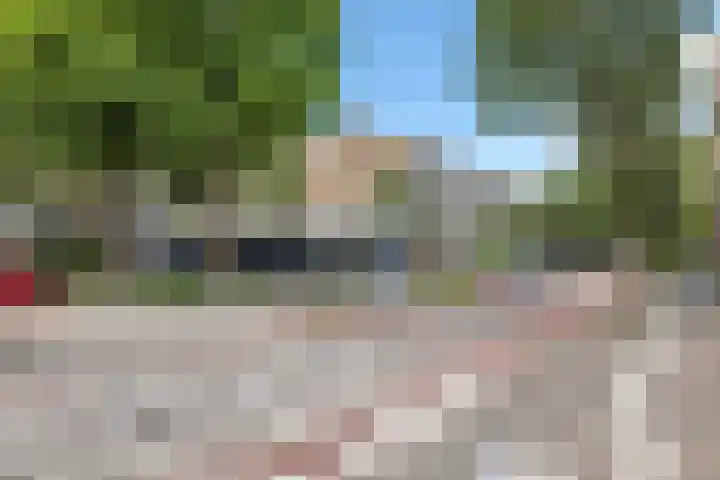 Terborchlaan 73 Alkmaar thumbnail 40