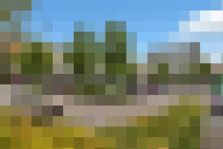 Terborchlaan 73 Alkmaar thumbnail 42