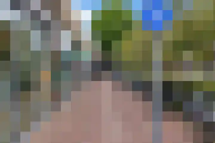 Terborchlaan 73 Alkmaar thumbnail 43