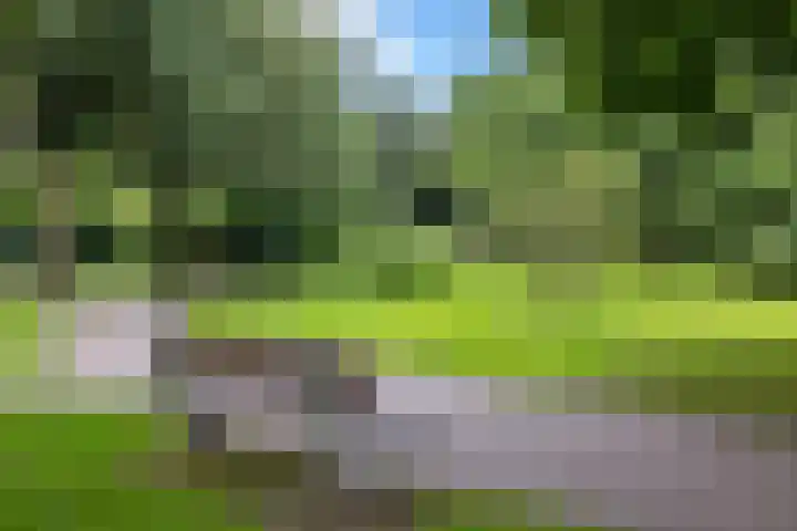 Terborchlaan 73 Alkmaar thumbnail 45