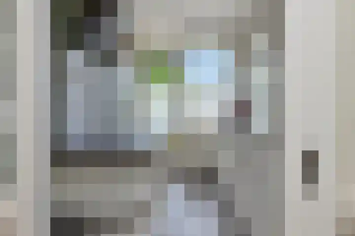 Terborchlaan 73 Alkmaar thumbnail 8