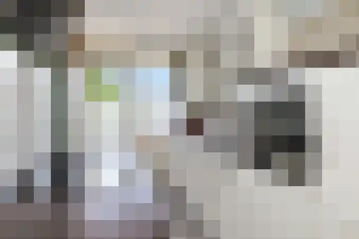Terborchlaan 73 Alkmaar thumbnail 9