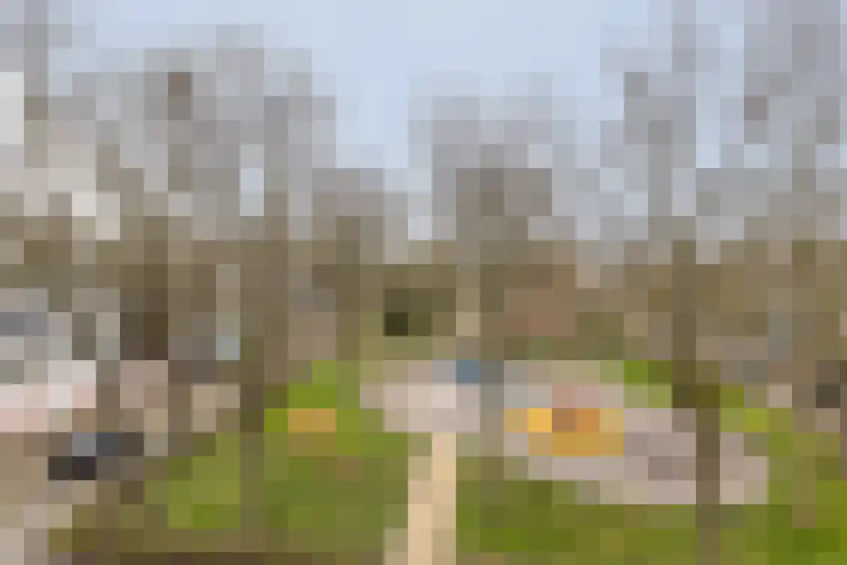Terborchlaan 87 Alkmaar thumbnail 16