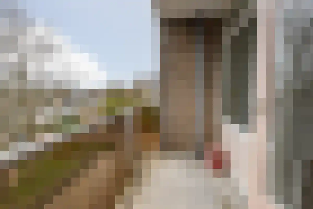 Terborchlaan 87 Alkmaar thumbnail 18