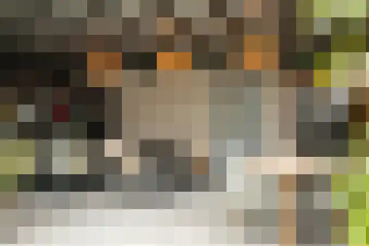 Terborchstraat 6 Brunssum thumbnail 24