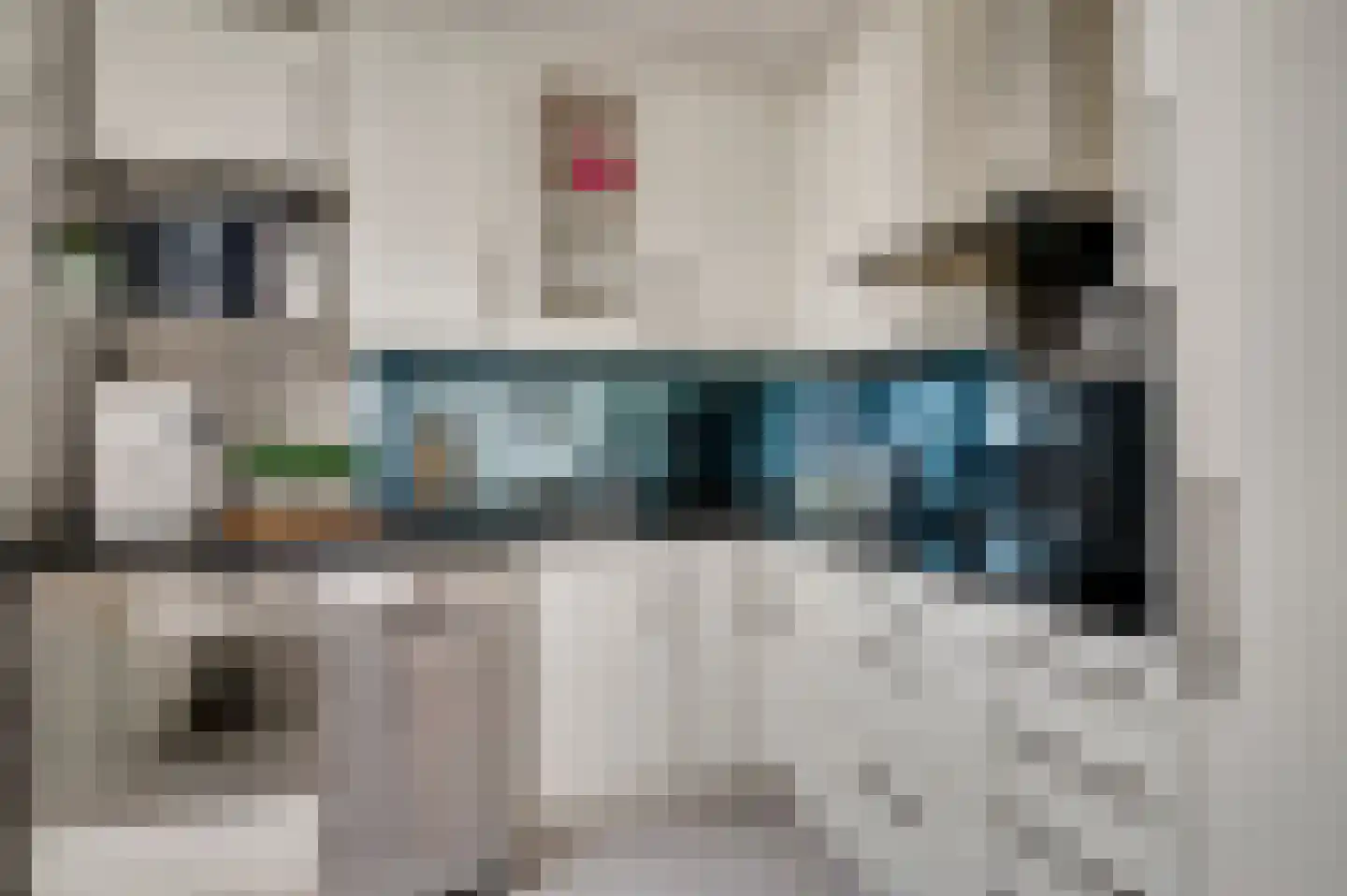 Terborgh 29 Weert thumbnail 10