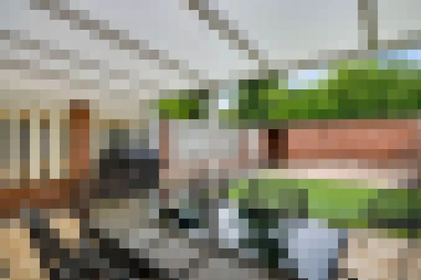 Terborgh 63 Weert thumbnail 24