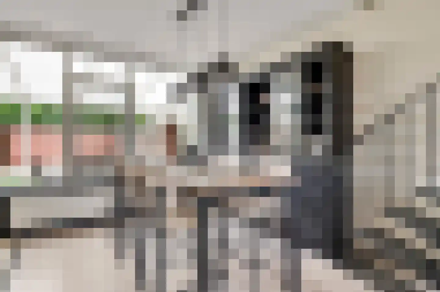 Terborgh 63 Weert thumbnail 8